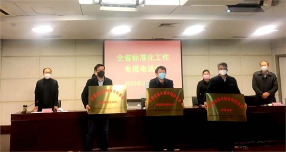 皖南电机获&ldquo;安徽省技术标准创新基地（高效电机）&rdquo;标牌