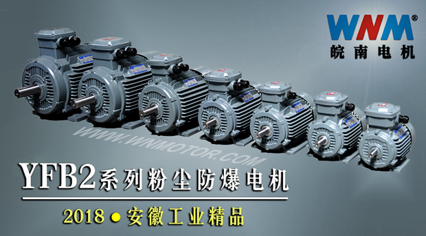 YFB2系列粉尘防爆型电机入选2018年安徽工业精品名单 YFB2系列粉尘防爆型电机入选2018年安徽工业精品名单